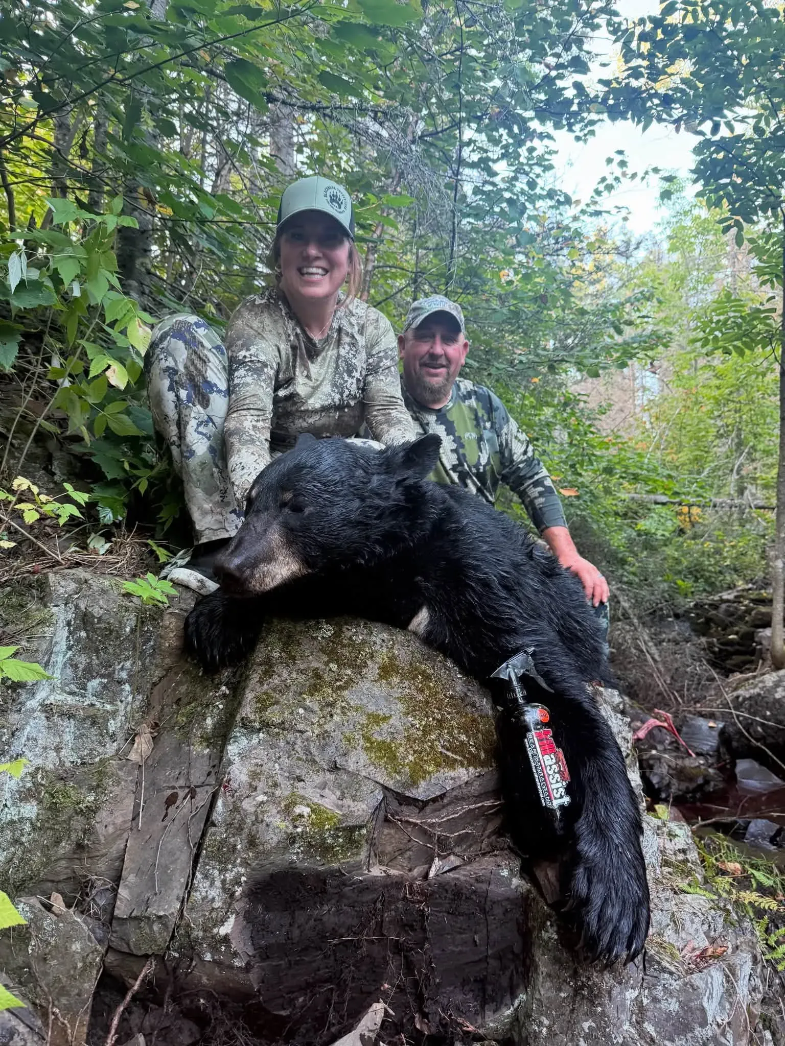 How Bear Baiting Works in Minnesota