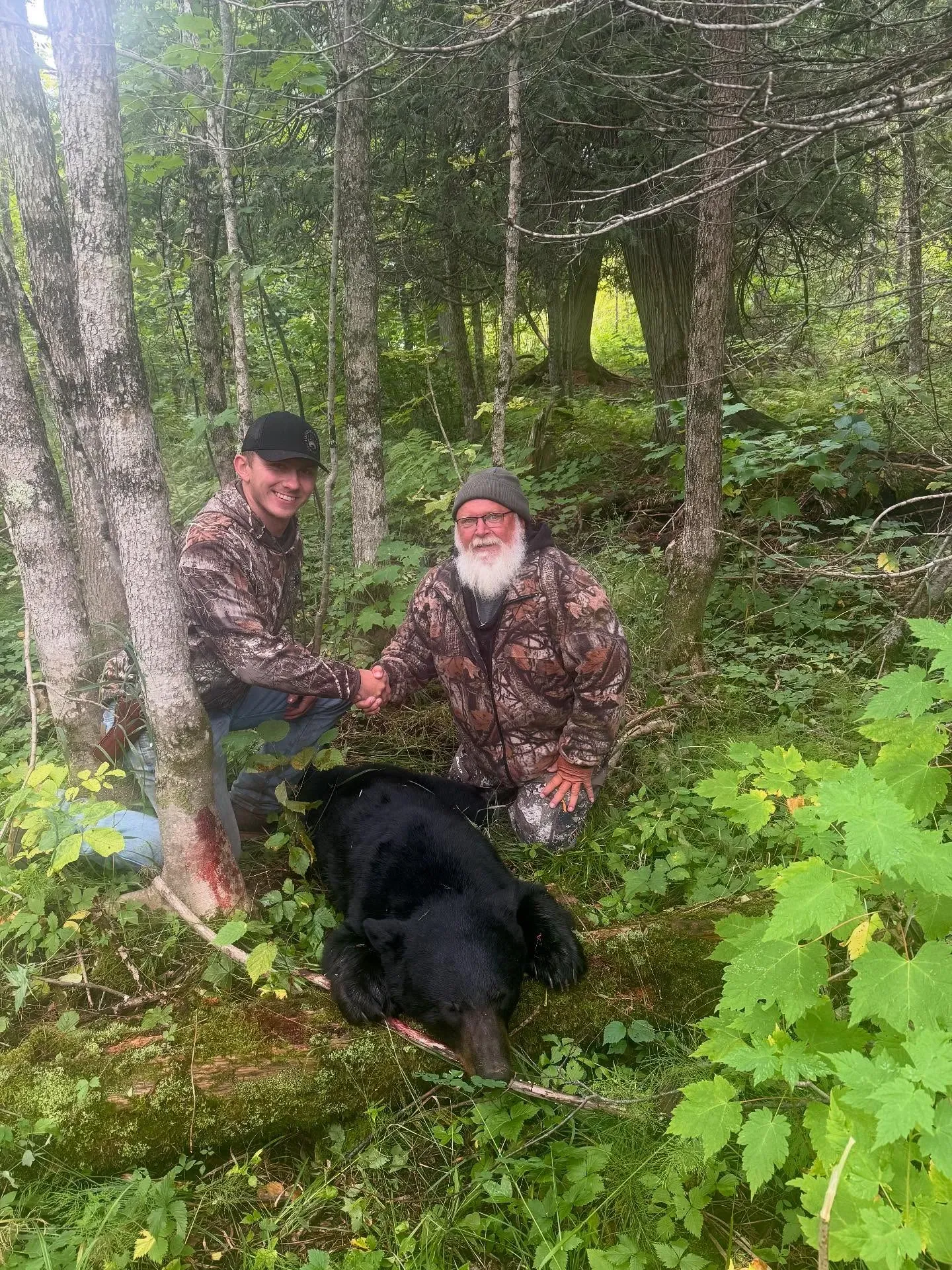 Beginner’s Guide to Black Bear Hunting in Minnesota