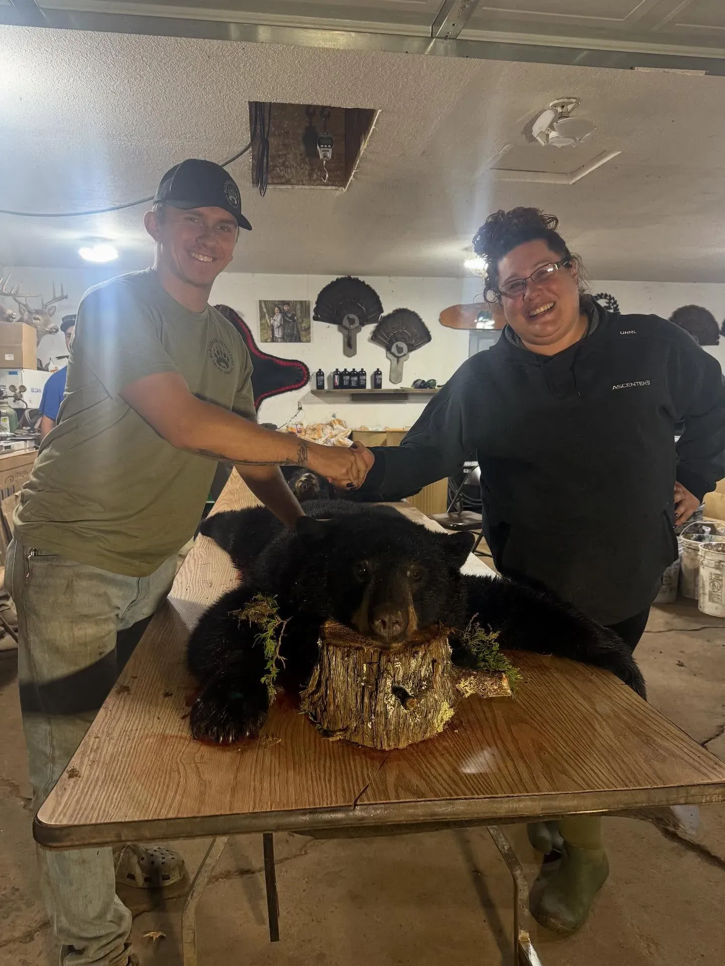 Complete Guide to Minnesota Bear Hunting Zones