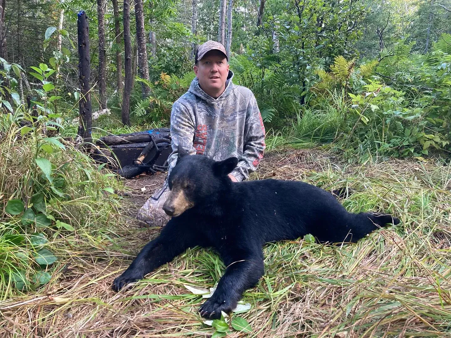 Best Bear Hunting Areas Near Duluth, Minnesota
